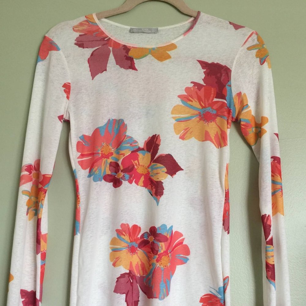Zara Sheer Long Sleeve Top